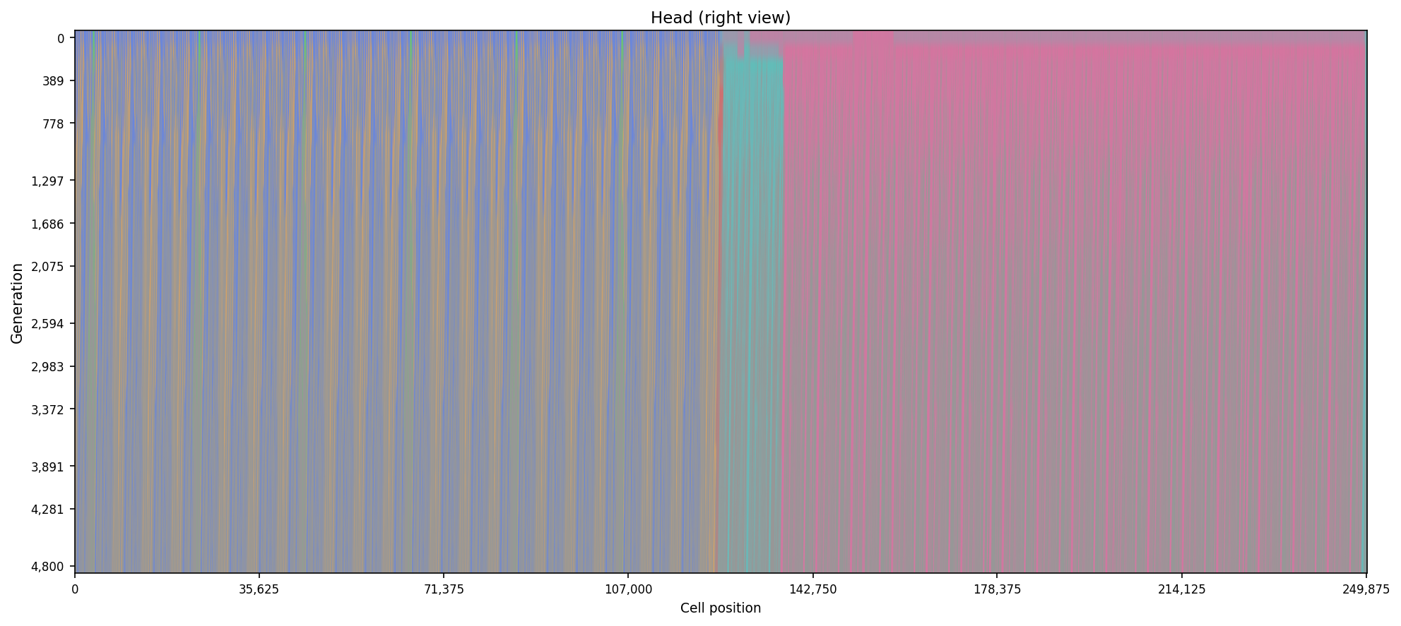 Right view annotated